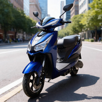 Scooter électrique vintage CKD EEC 10/12 pouces, 2 places, 600/800W, vitesse 50 km/h, à vendre