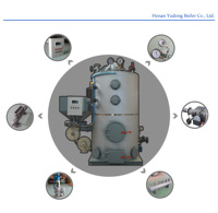 Chaudières et pièces détachées pour générateurs de vapeur à biomasse, compatibles avec le combustible à base de granulés de bois et de paille, pour l'habillement/textiles, la transformation alimentaire
