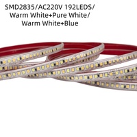 Bande LED néon AC220V, lumière linéaire, CCT double couleur, trois couleurs, super lumineuse, SMD2835, blanc chaud, blanc pur, bleu, 192 LED, IP20, IP65, OEM