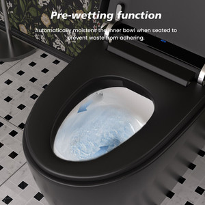 Salle de bain Nouvelle conception Couleur noir mat Lavage arrière Lavage des hanches Lumière ambiante Lumière nocturne Automatique Toilette intelligente monobloc - Product Image 5