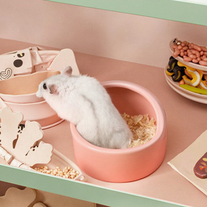 Wholesale Ceramic Hamster Bowl Oblique Mouth Small Pet Feeder in <b>Candy</b> Color for Cross-Border Pets Hamsters Parrots Golden Bears - Product Image 3
