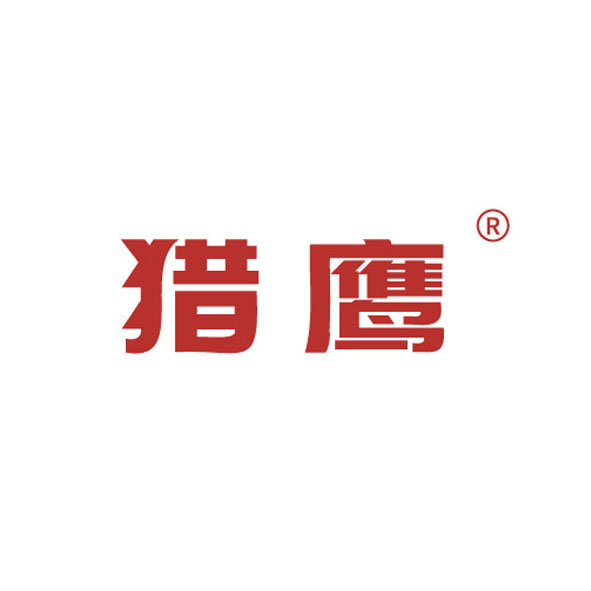 Hubei Lieying Intelligent Technology Co., Ltd. logo