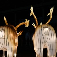Fabricante de Faroles Escolares de Seda China para el Festival de Sichuan, Luces para Programas de Producción Televisiva, Fábrica de Luces para Ramadán y Graduaciones
