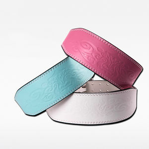 LS0874 숙녀 사용자 정의 로고 허리 지원 도매 PU 가죽 및 소가죽 녹색 핑크 여성의 역도 벨트 - Product Image 1