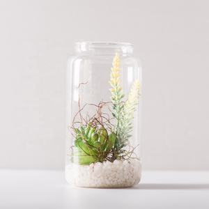 Petit pot de plantes de terrarium <span class=keywords><strong>en</strong></span> verre <span class=keywords><strong>fermé</strong></span> avec couvercle de 4x5.5 pouces pour plantes succulentes, mousse, piège à mouches de Vénus et écosystèmes autonomes - Product Image 2