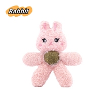 Jouet en peluche pour chat, motif dessin animé, résistant aux morsures, pour le nettoyage des dents, amusant, avec herbe à chat intégrée