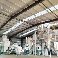 33 Años de Experiencia, Proyecto Llave en Mano de Hengfu, Línea de Producción de Pellets de Alimento para Ganado Vacuno de 2-4 TPH