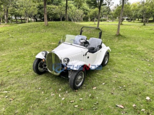 Nouvelles Voitures de Luxe en Promotion : Voiture Électrique Classique Vintage 2 Places pour le Tourisme et le Transport Spécialisé - Product Image 5