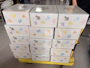 YQ Authentic Pokemoned Csv9.5C Blooming Legends Eevee's Exclusive Gift Box Collectible Booster Wholesale Promotions playing card - Product Image 1