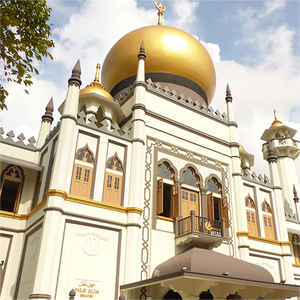 Cấu trúc thép không gian Khung nhà thờ hồi giáo mái vòm mái vòm - Product Image 6