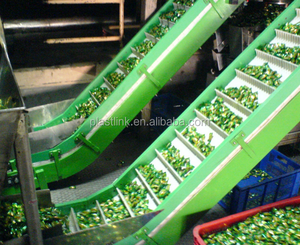 Dibuat di Cina 2025 harga pabrik <span class=keywords><strong>Food</strong></span> <span class=keywords><strong>Grade</strong></span> POM PP sabuk Modular dengan cleat untuk konveyor miring - Product Image 6