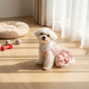 Robe de princesse japonaise 3D à volants en dentelle florale pour chiens et chats, jupe de fête printemps-été pour animaux de compagnie, idéale pour Teddy et Bichon - Product Image 6