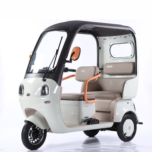 Tricycle électrique à 3 roues pour passagers, moteur 1000W, 2 places, auvent pour personnes âgées, homologué CE, tension 48V, type de carrosserie ouverte - Product Image 3