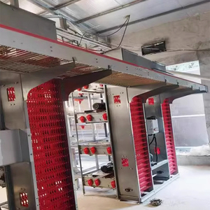 Sistema di Gabbie per Polli in Acciaio Zincato a Caldo Tipo H con Rimozione Automatica del Letame, Capacità 128 Uccelli, Durata 15-20 Anni, Nuovo per Allevamento Avicolo - Product Image 5