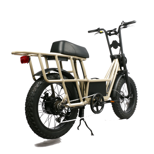 2021 New Model Adults Electric Bike Delivery 500w 750w 1000w Electric Cargo Bike Cheap Ce Bicycle Electric