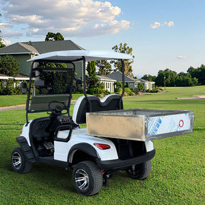 รถกอล์ฟไฟฟ้า 48v รุ่น Little EV Van 2 ที่นั่ง รถยนต์ไฟฟ้าอัตโนมัติ รถกอล์ฟไฟฟ้า 48v สำหรับถนนที่ไม่เป็นทางหลวง - Product Image 2