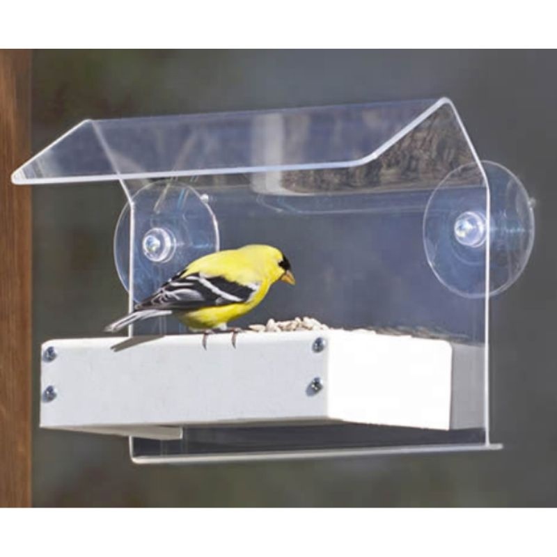 Customizable Charred Wood Birdhouse Wooden Garden