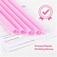 Pailles à boire réutilisables en plastique PP écologiques, couleur rose, pour accessoires de bar