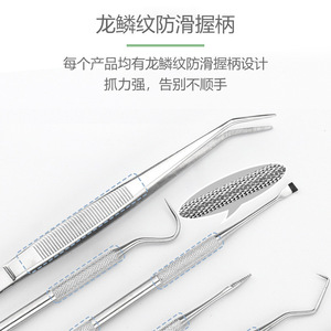 Dental Tool Set 10 Piece Stainless Steel <b>Cleaning</b> Kit For Home Use Tooth Stain Removal - Product Image 4