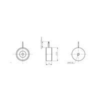 Electroimán Circular Pequeño y Potente de CC 24V, Tipo Ventosa para Levantar Hierro, 12V Industrial P40/20P50/27 Personalizado