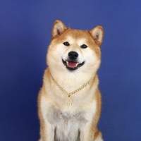 Pendentif en métal pour animaux de compagnie, Collier doré pour chats, Fauvist Dog, Diamond, Boomster, Tycoon, Collier de célébrité internet