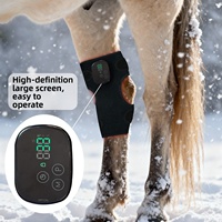 Appareil de thérapie orthopédique équine pulsée 10Hz, lumière rouge 660nm 850nm, dispositif de rééducation vétérinaire pour les douleurs articulaires du jarret du cheval