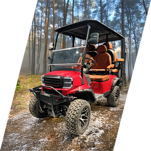 Voiture de golf électrique moderne de batterie au lithium de sièges à dossier haut bon marché de luxe unique de vitesse - Product Image 2