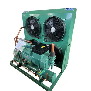 30hp Semi-hermetic Compressor Freezer Condensing Units for Freezing Cold Storage Air-cooled condensing chiller