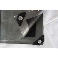 Bâche tissée imperméable enduite de PE avec protection UV, taille et logo personnalisables pour tente, mariage, voiture, sac, usage extérieur