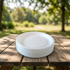 Assiette ronde en bagasse de canne à sucre blanche de 6 pouces, jetable, biodégradable et compostable, pour servir des desserts et des collations - Product Image 5