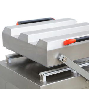 Gıda için DZ-600/2SA yüksek kaliteli düz çift vakum odası sebze ve tavuk vakum paketleme makinesi - Product Image 2