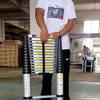 Échelle télescopique en aluminium colorée de 3,2 m de hauteur, 10 marches, pliable, combinaison d'échafaudage avec capacité de 300 livres pour une utilisation hôtelière