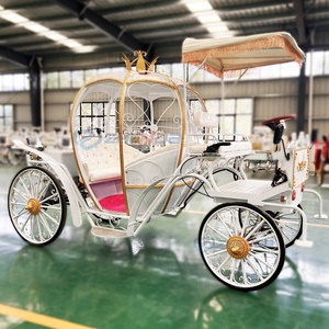 Nouvelle annonce : Élégante carrosse électrique en forme de citrouille, capacité 4-6 places, 4 roues, personnalisable, à vendre - Product Image 4