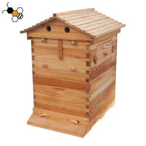 Ruche automatique en bois, ruche à abeilles automatique, équipement d'apiculture, ruche à flux automatique, ruche à flux automatique - Product Image 1