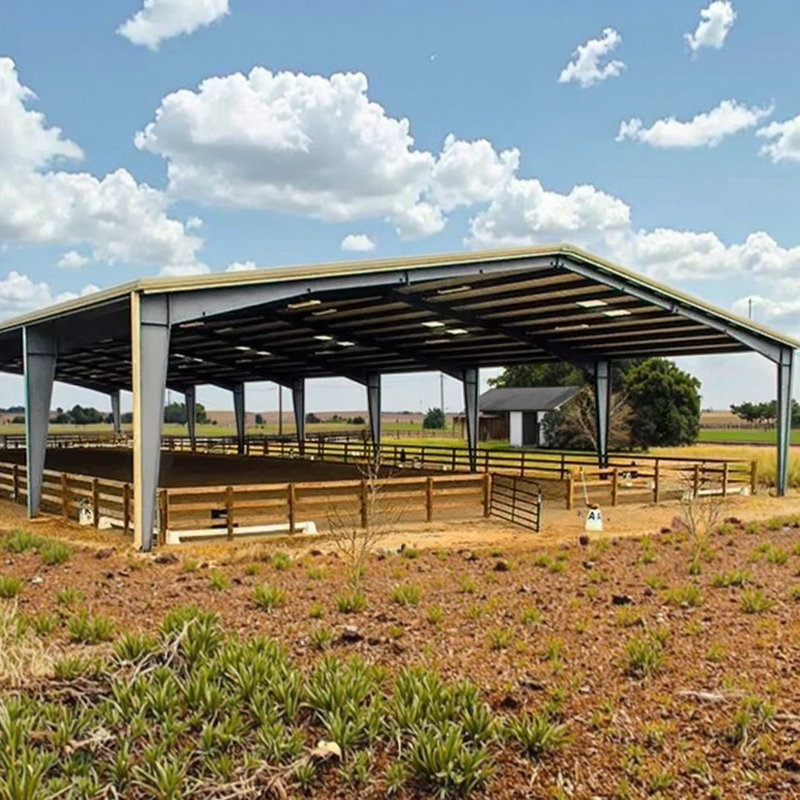 Prefabricated Steel Structure Horse Barn and