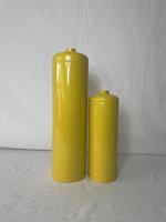Cylindre d'extincteur 10lb/20lb Couleur personnalisée Carton Acier inoxydable Poudre ABC Marque ANSU Cylindre de lutte contre l'incendie