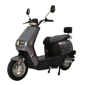 2023 Chinese Various Colors Excellent Performance 600w Electric Scooters Motorcycles