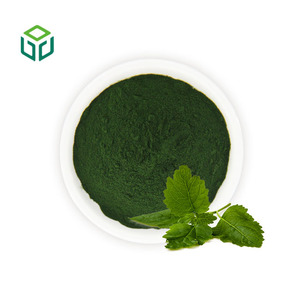 Pigment alimentaire naturel soluble dans l'eau, chlorophylline de sodium-cuivre à 99 %, poudre de chlorophylle, emballage en fût - Product Image 1