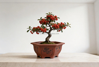 Pots à Bonsaï Hexagonaux Chinois Respirants, Pots Décoratifs pour Plantes, pour Aménagement Paysager, pour Patio ou Affichage Intérieur