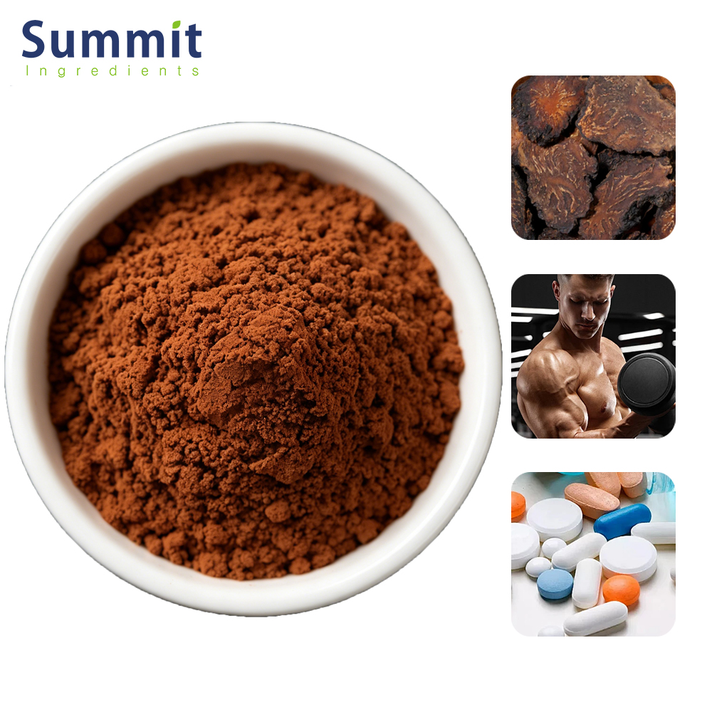 Factory Supply Bulk Natural Water Soluble Organic Cistanche Extract Powder Echinacoside For Men's Health Supplement