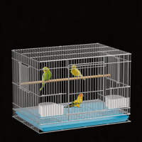 Cage d'élevage pour perroquets en fer galvanisé avec porte, pour calops et petits oiseaux, vente en gros