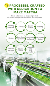 [2026 New] EU Kosher Halal Business Matcha Green Tea <strong>Powder</strong> With Bag Packaging 50G Ceremony Matcha <strong>Powder</strong> - Product Image 6