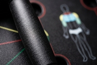 Planche d'entraînement monobloc de qualité supérieure avec code couleur pour la musculation professionnelle à domicile et le remodelage corporel