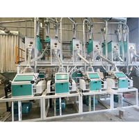 Moulin à farine automatique commercial Machine agricole compacte toute la ligne de mouture de farine de grain