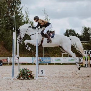 Ensemble de saut équestre fiable avec des cadres solides et des coupelles de sécurité pour les terrains d'entraînement et la préparation aux obstacles - Product Image 5
