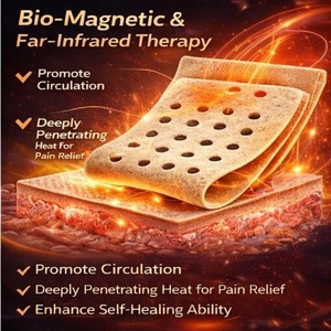 Kräuter-Schmerzlinderungspflaster für Muskel- und Gelenkpflege, Natürliches Gesundheitspflaster zur Äußeren Anwendung für Täglichen Körperkomfort - Product Image 2