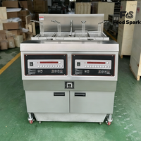 Friteuse à gaz grande capacité avec filtre à huile, équipement de cuisine professionnel à double cuve