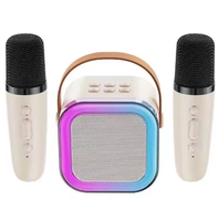 Haut-parleur sans fil portable 2-en-1 SY-13 pour enfants avec microphone, idéal pour le karaoké à domicile et les fêtes en extérieur