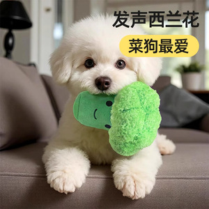 <b>Plush</b> Broccoli Pet Toy Sound Making Dental Chew For Dogs <b>Large</b> Size Cute Style - Product Image 1