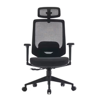 Chaise de bureau exécutive moderne de haute qualité pour usage domestique, couleur personnalisée, design ergonomique en maille, pivotante, réglable en hauteur, en nylon